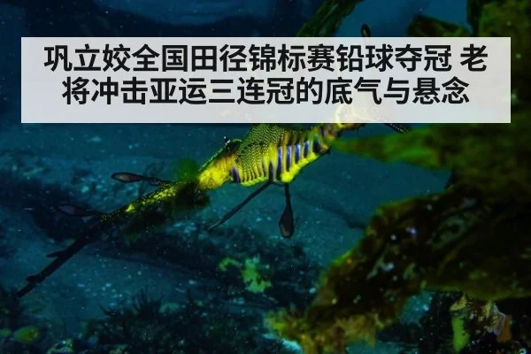 巩立姣全国田径锦标赛铅球夺冠 老将冲击亚运三连冠的底气与悬念